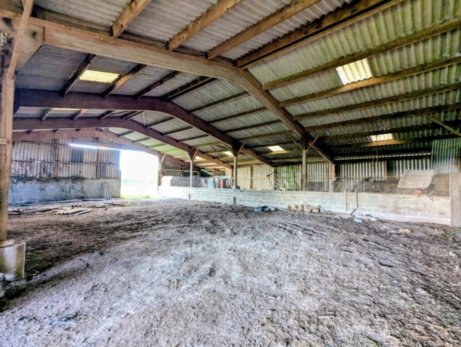 Photos 10 - Equestrian - Maison avec terres agricoles