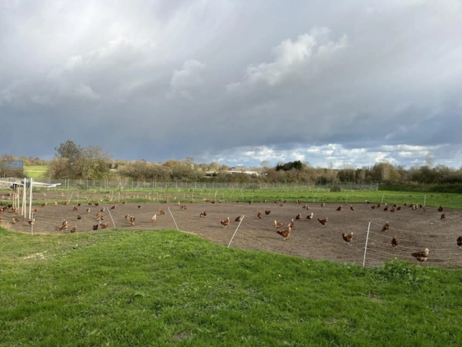 Photos 6 - Touristique - Maison à vendre Osmanville