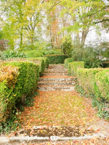 Photos 8 - Prestige - LA SINGULIÈRE – Propriété de caractère avec parc clos, piscine et dépendances - Compiègne Oise