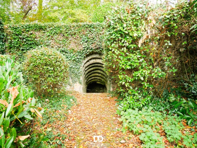 Photos 9 - Prestige - LA SINGULIÈRE – Propriété de caractère avec parc clos, piscine et dépendances - Compiègne Oise