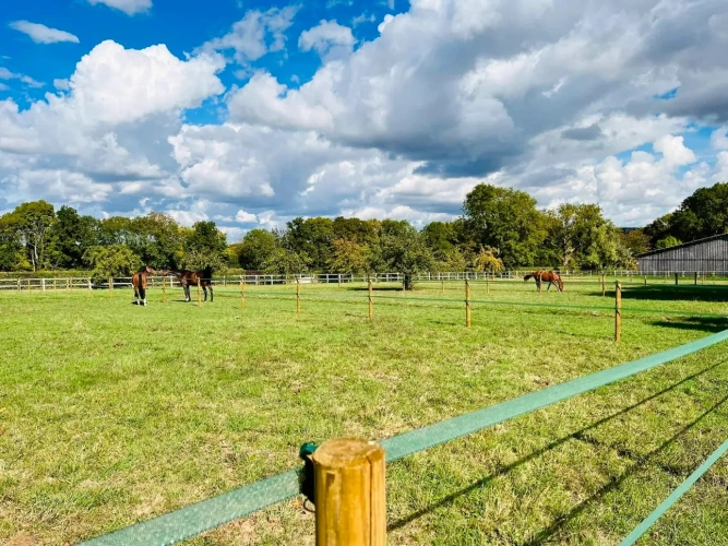 Photos 5 - Équestre - Propriété d’exception avec deux maisons et installations équestres complètes