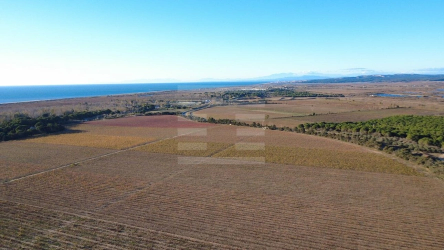 Photos 1 - Touristique - Propriété viticole