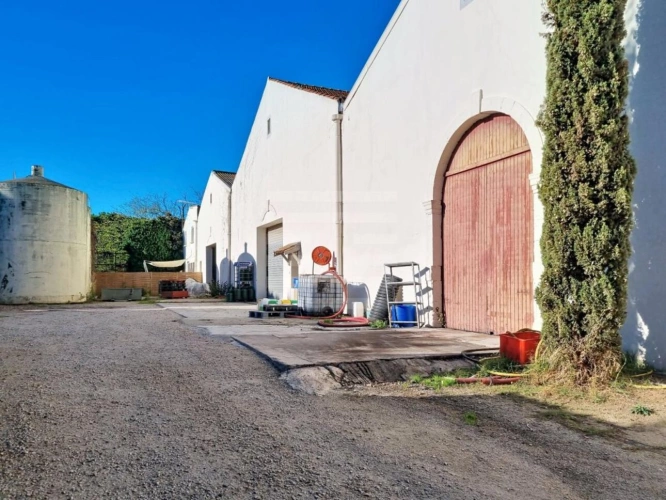 Photos 20 - Touristique - Propriété viticole