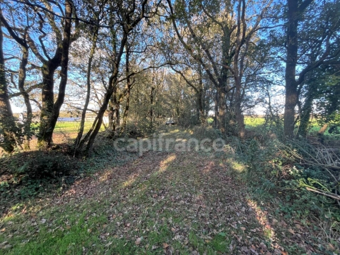 Photos 26 - Touristique - À 6 minutes de l’océan, propriété à fort potentiel dans un cadre naturel d’exception