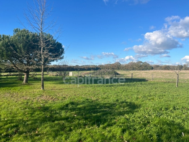 Photos 27 - Touristique - À 6 minutes de l’océan, propriété à fort potentiel dans un cadre naturel d’exception