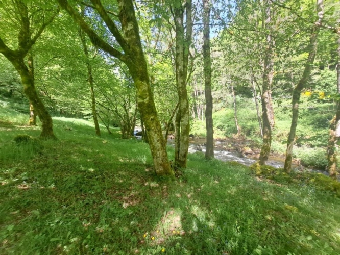 Photos 20 - Prestige - Moulin