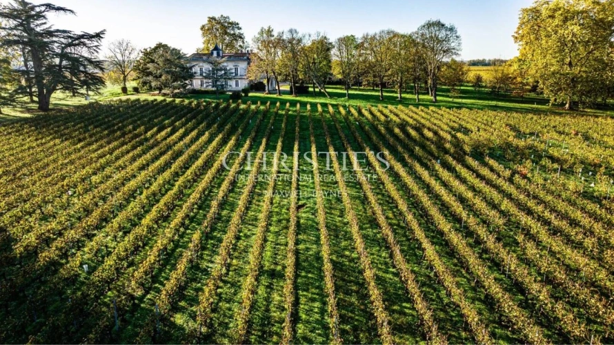 Photos 3 - Prestige - A vendre propriété de charme du XIXème siècle aux portes de Bordeaux