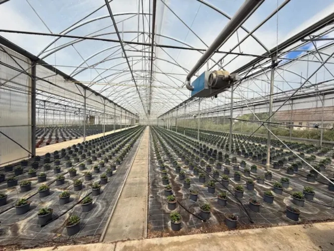 Photos 5 - Agricultural - For sale Allier horticultural exploitation