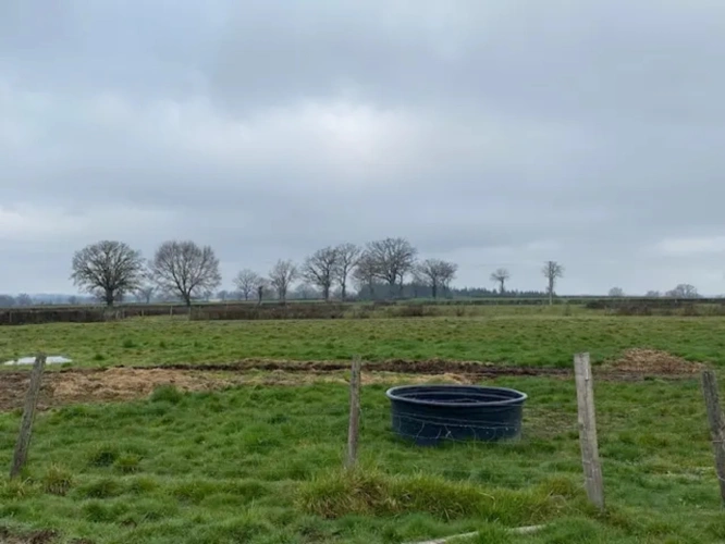 Photos 4 - Agricultural - A vendre (Allier 03) à 20 minutes de Montluçon, exploitation agricole de 26 ha groupés