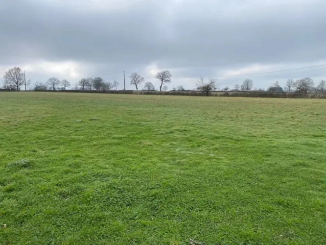 Photos 1 - Agricole - Exploitation agricole d'élevage de 104 hectares située dans le Cher (18)