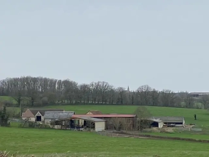 Photos 1 - Agricole - Exploitation d'élevage de 225 hectares dont 79 hectares en propriété dans le Cher