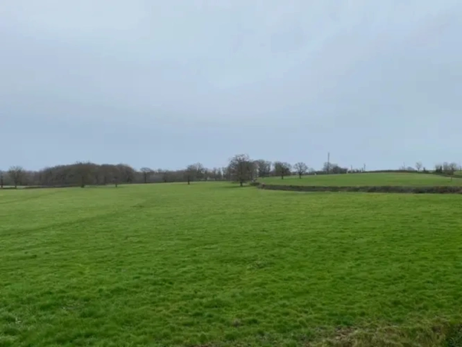 Photos 2 - Agricole - Exploitation d'élevage de 225 hectares dont 79 hectares en propriété dans le Cher