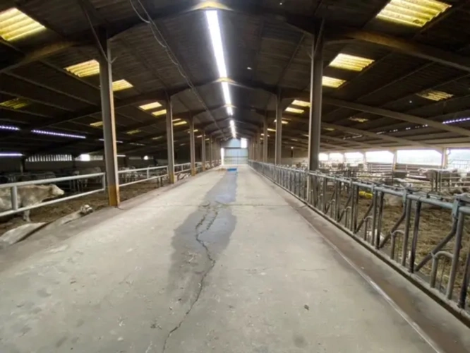 Photos 3 - Agricole - Exploitation d'élevage de 225 hectares dont 79 hectares en propriété dans le Cher