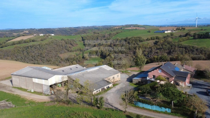 Photos 1 - Agricole - Ovins / Caprins