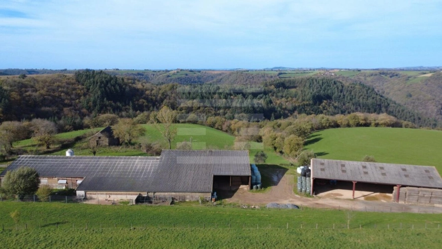 Photos 2 - Agricole - Ovins / Caprins