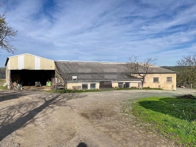 Photos 3 - Agricole - Ovins / Caprins