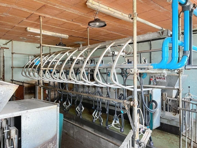 Photos 5 - Agricole - Ovins / Caprins