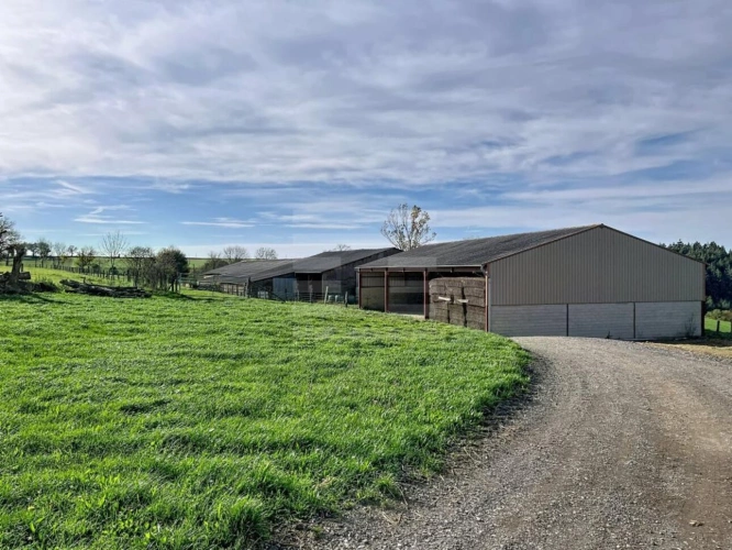 Photos 6 - Agricole - Ovins / Caprins