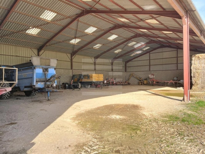 Photos 7 - Agricole - Ovins / Caprins