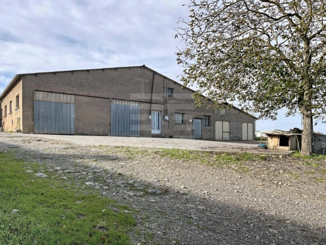 Photos 9 - Agricole - Ovins / Caprins