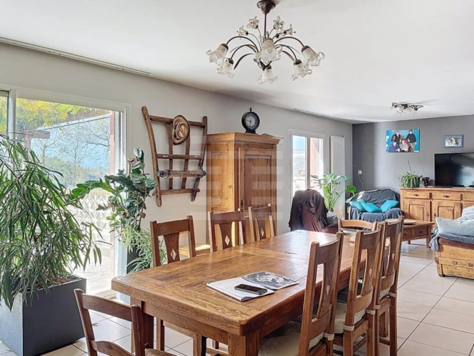 Photos 11 - Agricole - Ovins / Caprins