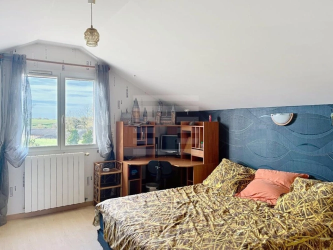 Photos 14 - Agricole - Ovins / Caprins