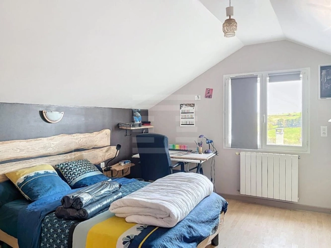 Photos 15 - Agricole - Ovins / Caprins