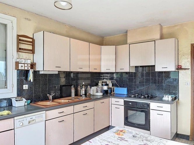 Photos 18 - Agricole - Ovins / Caprins