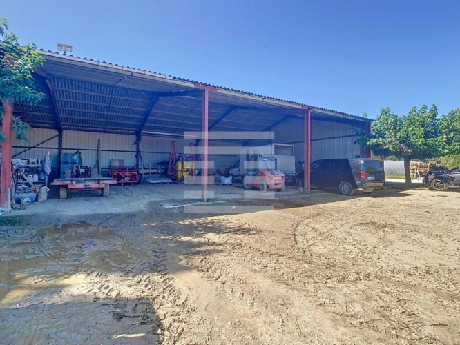 Photos 8 - Agricole - Horticole / Maraîchage