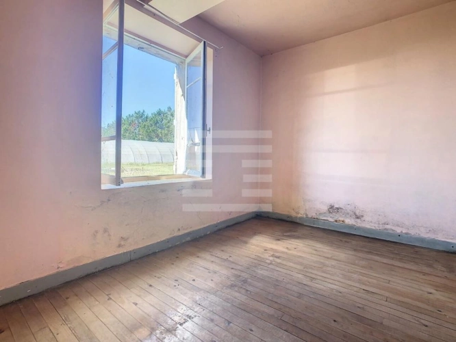 Photos 14 - Agricole - Horticole / Maraîchage