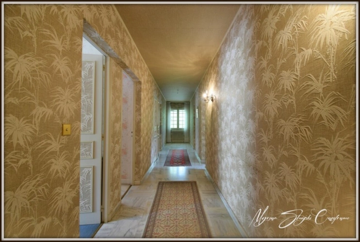 Photos 12 - Prestige - Propriete à vendre 8 pièces  de 350 m² environ à MIMIZAN (40) avec lac privatif, cadre exceptionnel