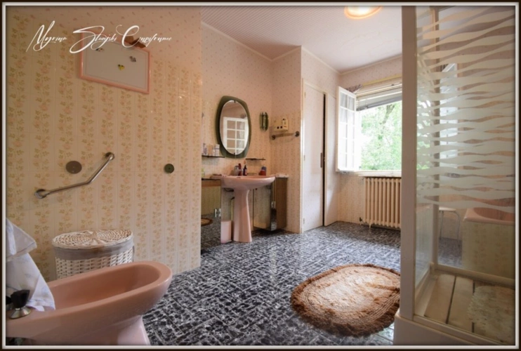 Photos 14 - Prestige - Propriete à vendre 8 pièces  de 350 m² environ à MIMIZAN (40) avec lac privatif, cadre exceptionnel