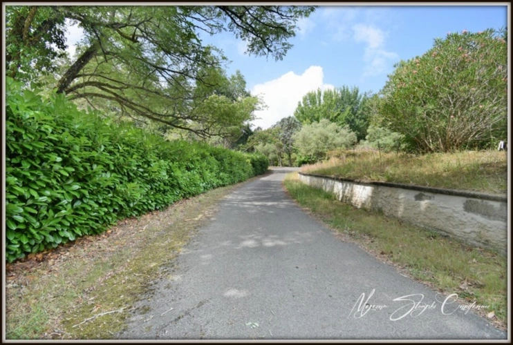 Photos 36 - Prestige - Propriete à vendre 8 pièces  de 350 m² environ à MIMIZAN (40) avec lac privatif, cadre exceptionnel