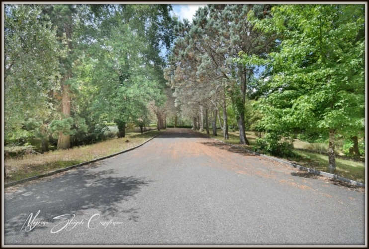 Photos 40 - Prestige - Propriete à vendre 8 pièces  de 350 m² environ à MIMIZAN (40) avec lac privatif, cadre exceptionnel