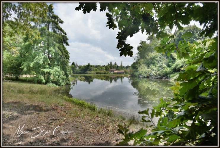 Photos 41 - Prestige - Propriete à vendre 8 pièces  de 350 m² environ à MIMIZAN (40) avec lac privatif, cadre exceptionnel