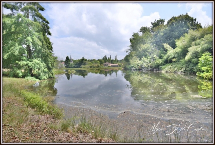 Photos 42 - Prestige - Propriete à vendre 8 pièces  de 350 m² environ à MIMIZAN (40) avec lac privatif, cadre exceptionnel
