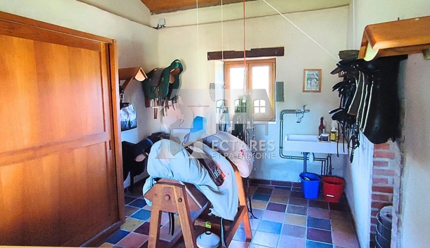 Photos 10 - Équestre - Propriété équestre d'exception 4 hectares