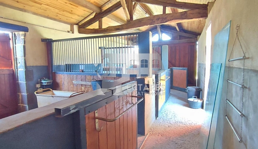 Photos 11 - Équestre - Propriété équestre d'exception 4 hectares