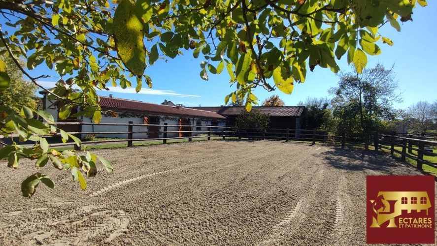 Photos 14 - Équestre - Propriété équestre d'exception 4 hectares