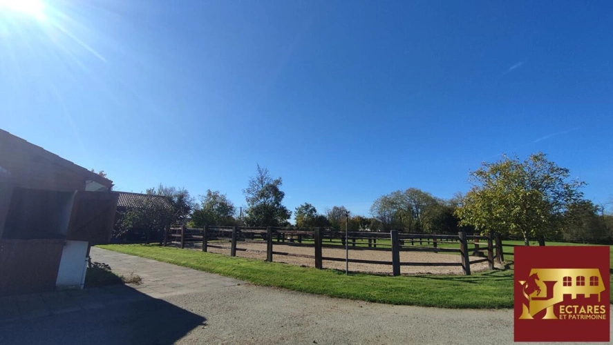 Photos 15 - Équestre - Propriété équestre d'exception 4 hectares