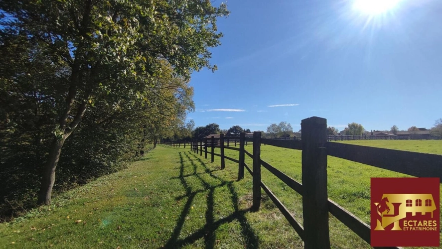 Photos 16 - Équestre - Propriété équestre d'exception 4 hectares