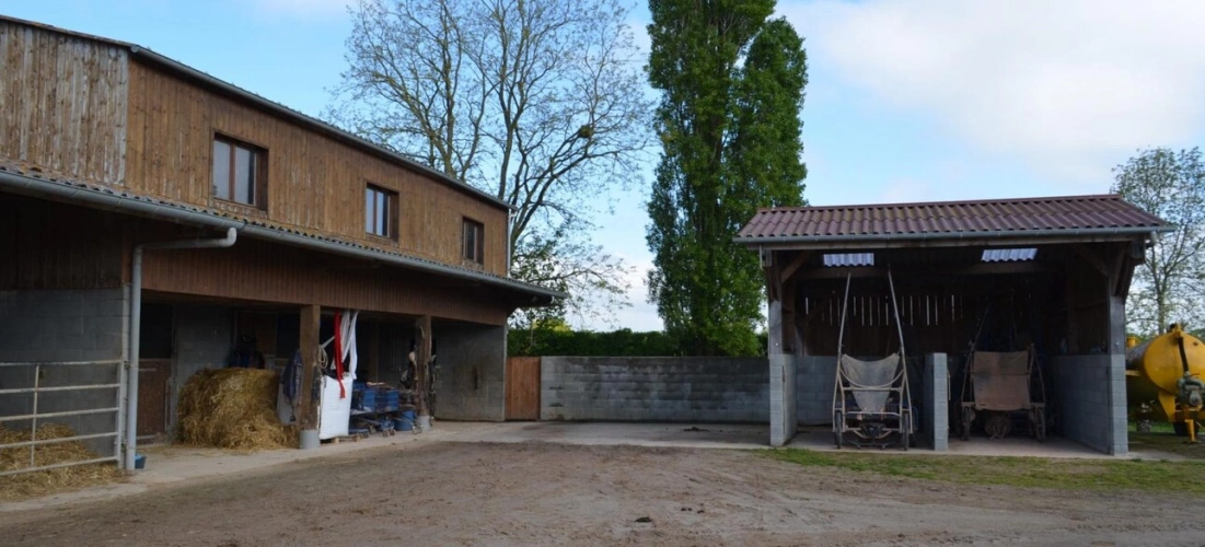 Photos 10 - Équestre - CENTRE D'ENTRAINEMENT & HARAS