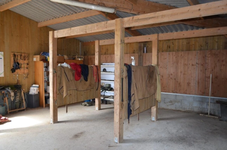 Photos 11 - Équestre - CENTRE D'ENTRAINEMENT & HARAS