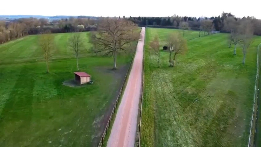 Photos 12 - Équestre - CENTRE D'ENTRAINEMENT & HARAS