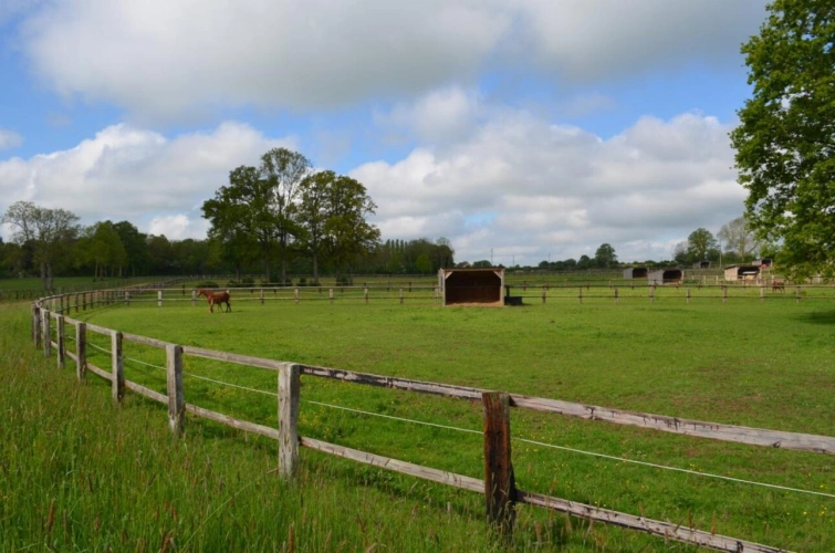 Photos 14 - Équestre - CENTRE D'ENTRAINEMENT & HARAS