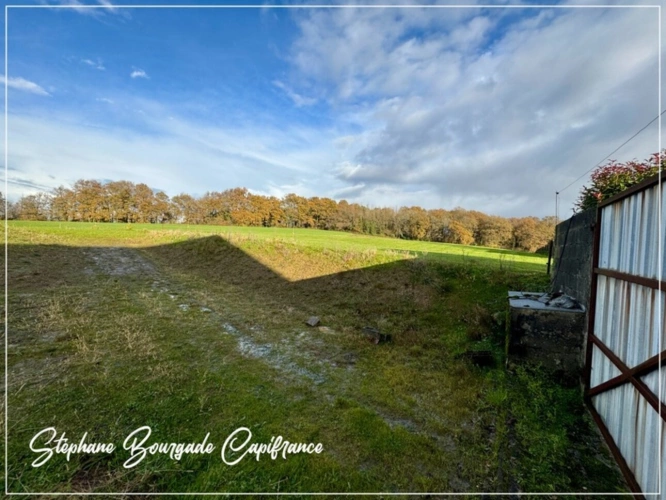 Photos 11 - Rurale - Propriete à vendre 6 pièces RAMOUS (64)