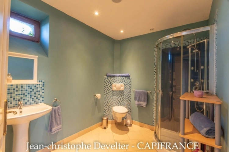 Photos 19 - Rurale - Dpt Mayenne (53), à vendre proche de GORRON propriete 5 chambres sur 4,6 hectares