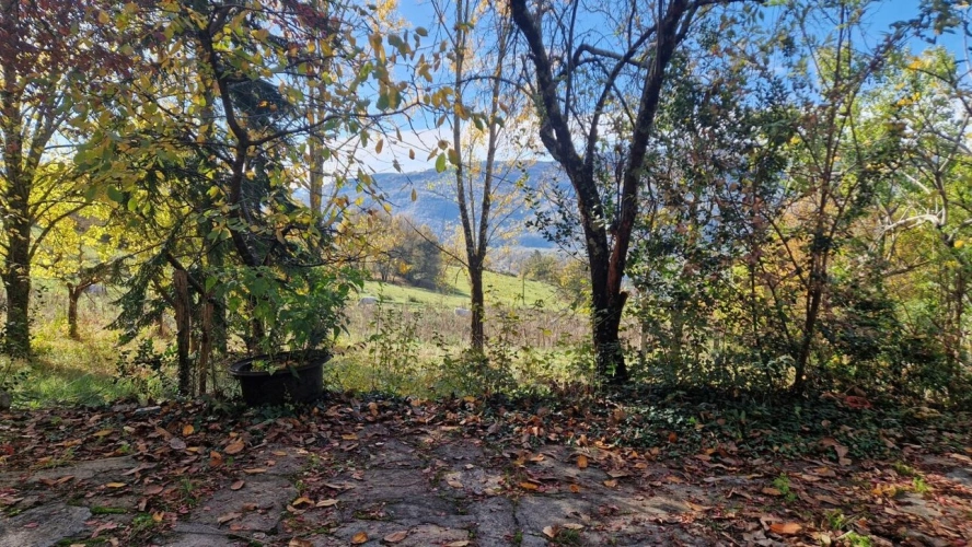 Photos 7 - Prestige - Maison