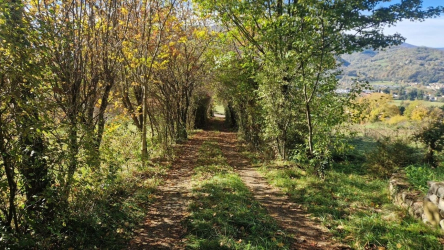 Photos 16 - Prestige - Maison