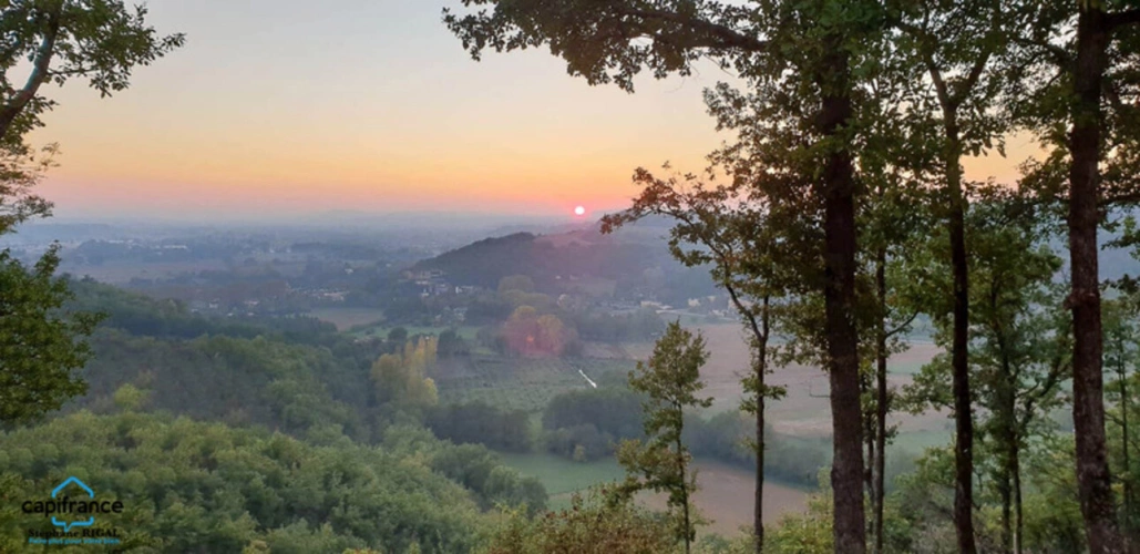 Photos 17 - Prestigious - Dpt Lot et Garonne (47), for sale FUMEL stone property P7 on a plot of 4ha of land